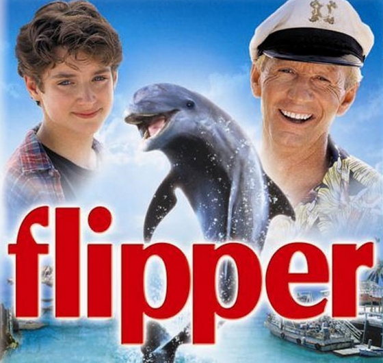 flipper.jpg