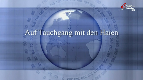 tvptauchganghaie.jpg