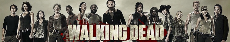 the walking dead s09e13 ettv