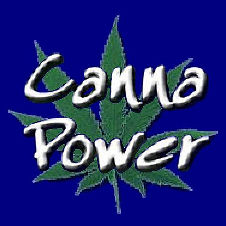 German top 100 single charts download cannapower